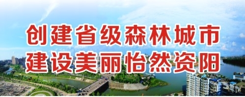 抽插网站创建省级森林城市 建设美丽怡然资阳