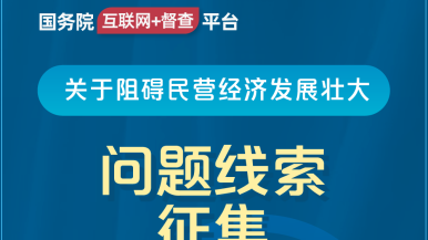 鸡巴鸡巴强奸视频网站国务院“互联网+督查”平台公开征集阻碍民营经济发展壮大问题线索